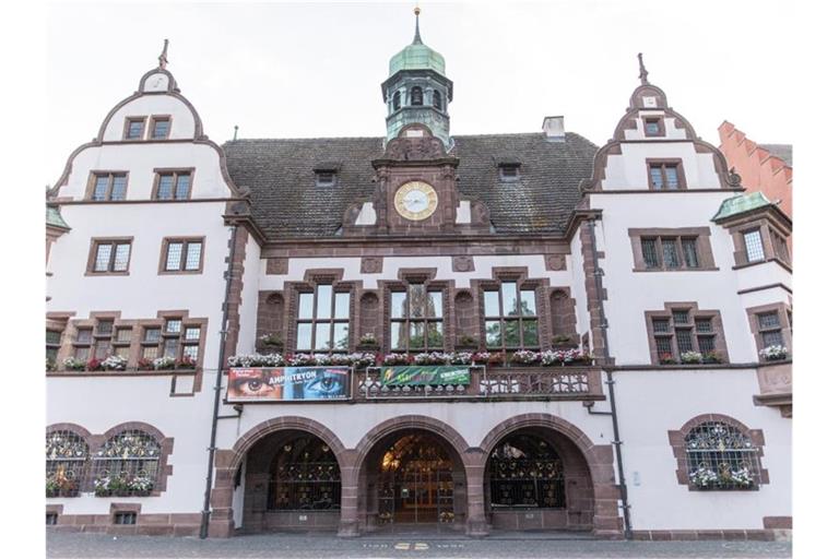 Die Außenansicht zeigt das Rathaus in der Innenstadt. Foto: Patrick Seeger/dpa/Archivbild