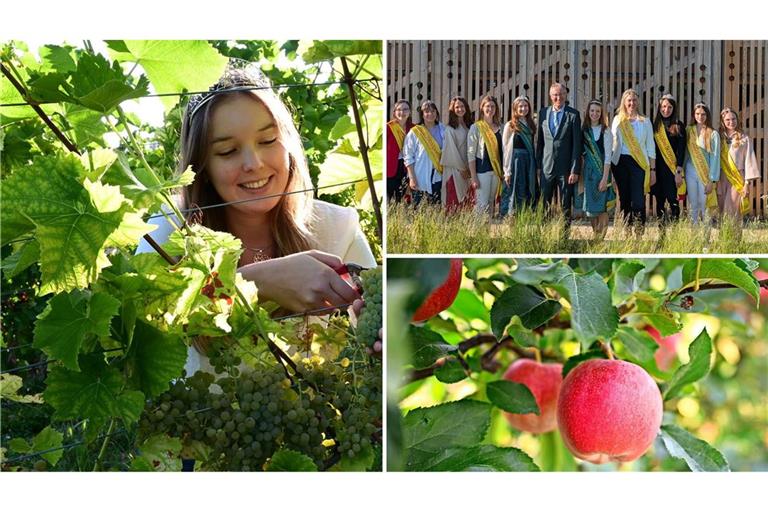 Die badische Weinkönigin macht sich im Weinberg nützlich, aber auch Streuobstwiesen haben längst monarchische Gesichter.
