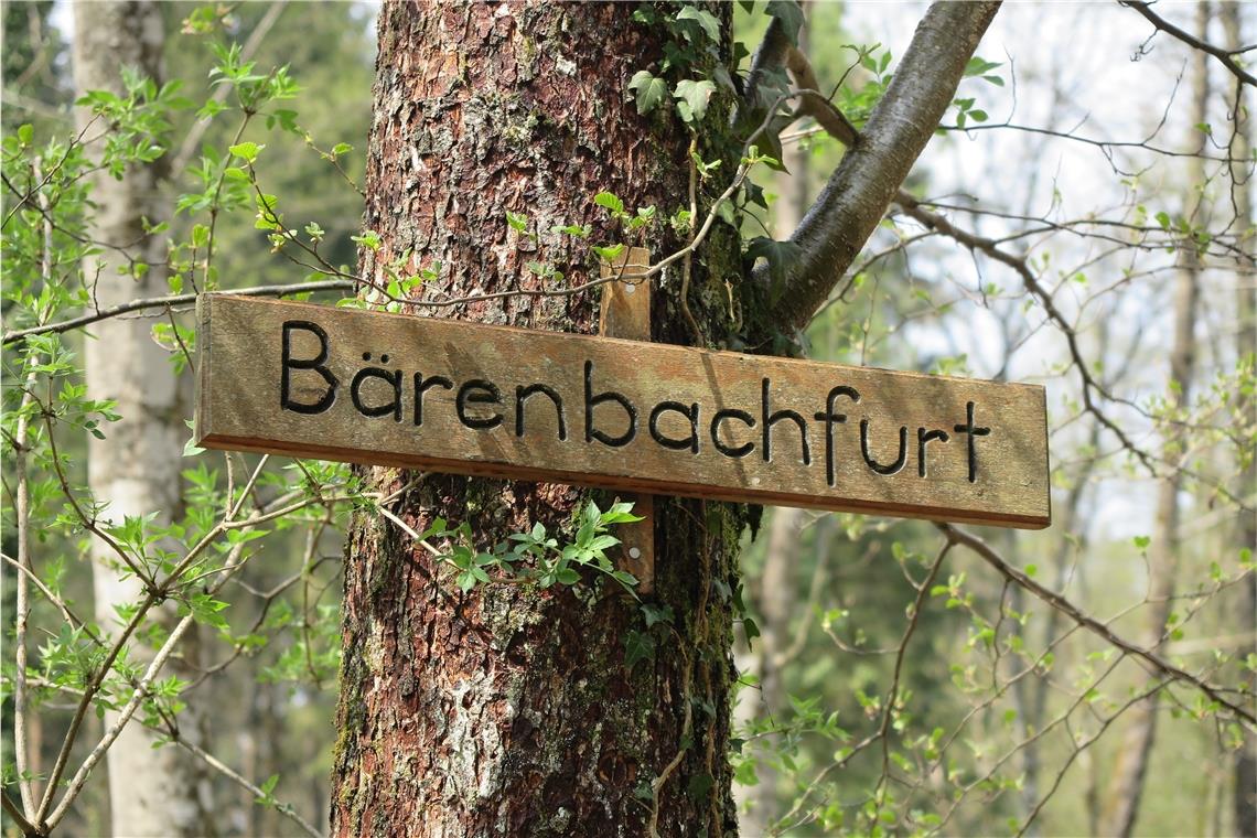 Die Bärenbachfurt ist eine richtige Furt. Aber für alle, die ihre Gummistiefel vergessen haben, gibt es auch eine Brücke.