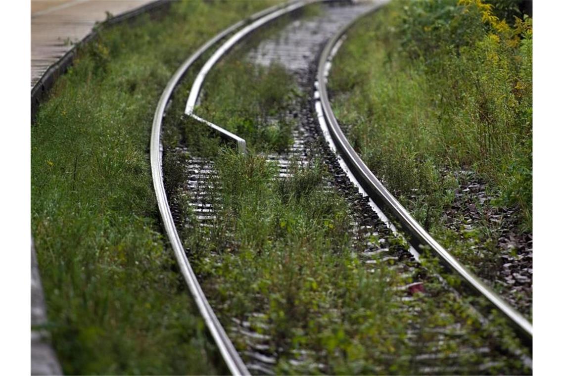 Gleise ohne Glyphosat: Bahn will weniger Gift spritzen