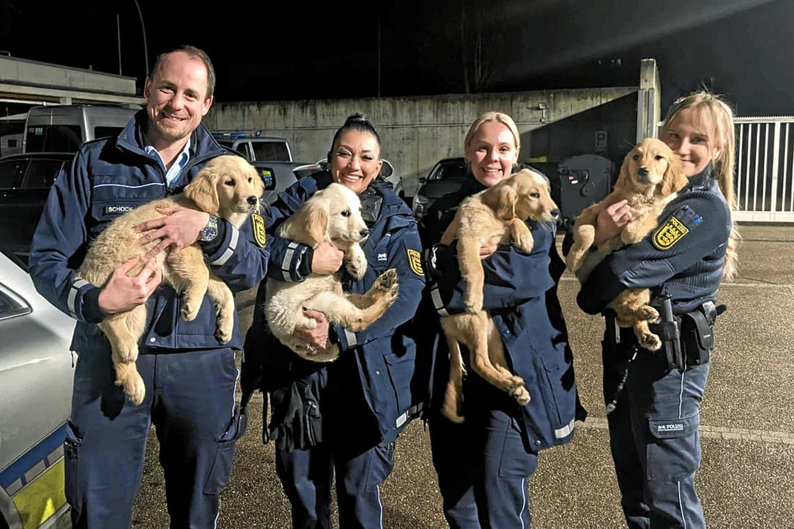 Polizei sammelt Welpen in Allmersbach im Tal auf Die Beamten scheinen ganz entzückt von den Hundewelpen zu sein. (Foto: Polizeipräsidium Aalen)
