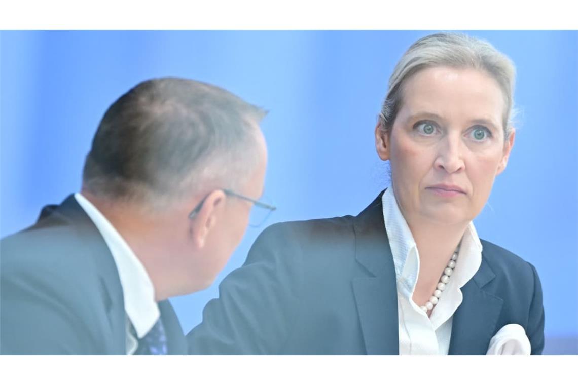 Die beiden AfD-Chefs Tino Chrupalla und Alice Weidel verordnen ihrer Partei einen pragmatischeren Umgang mit der EU und dem Euro.