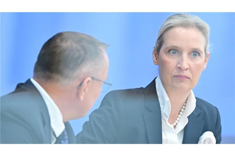 Die beiden AfD-Chefs Tino Chrupalla und Alice Weidel verordnen ihrer Partei einen pragmatischeren Umgang mit der EU und dem Euro.