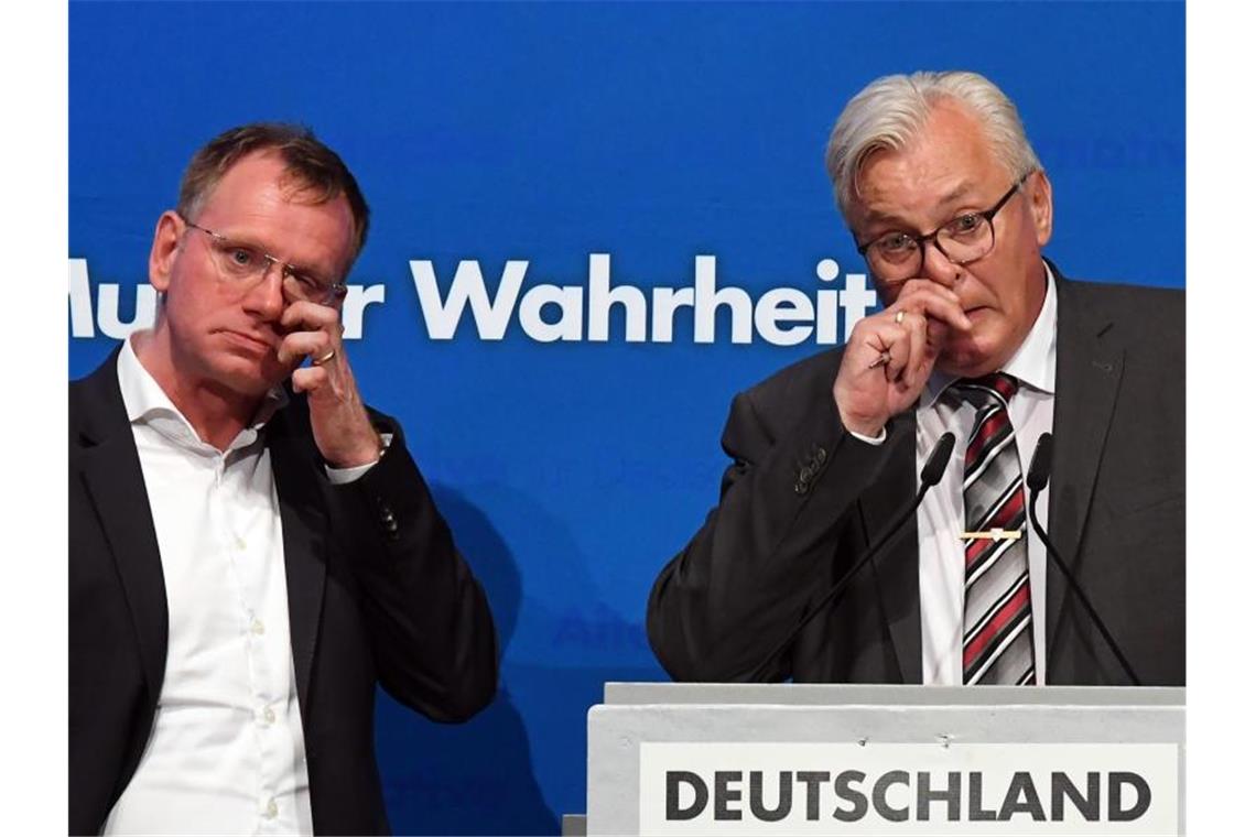 Die beiden AfD-Landesvorsitzenden Dirk Spaniel (l) und Bernd Gögel. Foto: Uli Deck/Archivbild