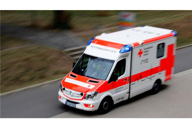 Die beiden Jugendlichen wurden nach einer Erstversorgung durch einen Notarzt in ein Krankenhaus gefahren. (Symbolbild)