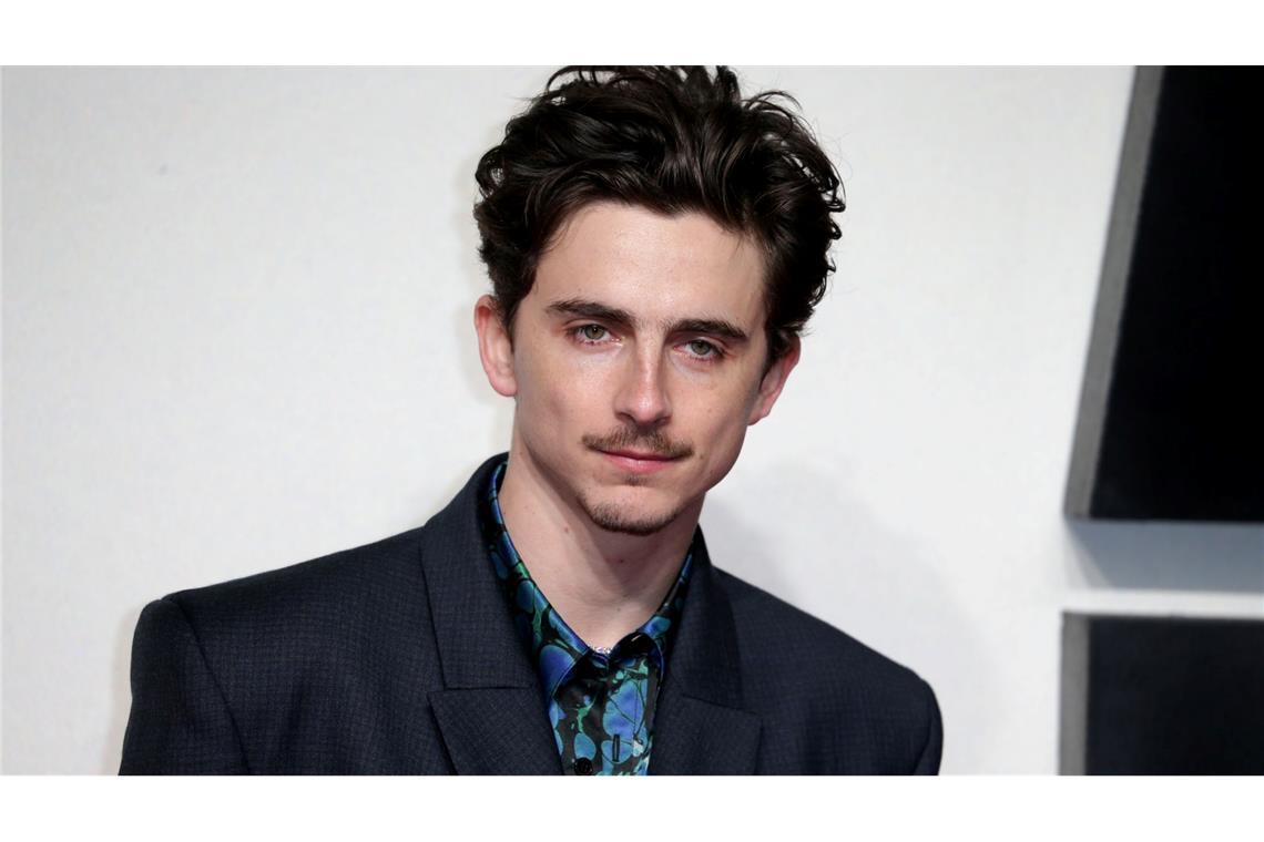 Chalamet am Valentinstag in Berlin erwartet