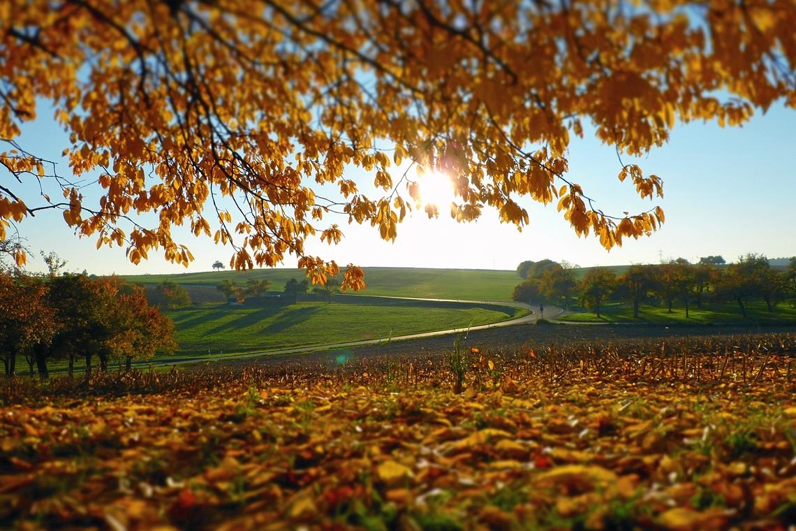 Goldene Fotografierstunden im Herbst Die besonderen Lichtverhältnisse im Herbst verleihen der Landschaft etwas Magisches. Hier ein Beispielbild mit einem besonders schönen Blick auf die Umwelt. Foto: Prophoto/Larissa Alletzhaeusser