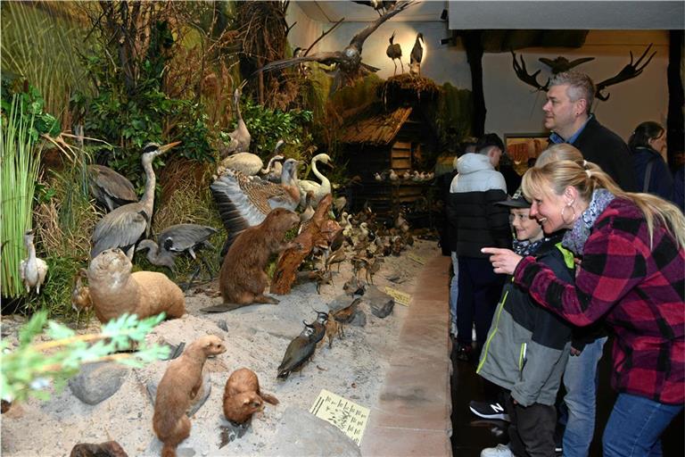 Die Besucher sind fasziniert von der Vielzahl und dem breiten Spektrum der Ausstellungsobjekte. Foto: Elisabeth Klaper