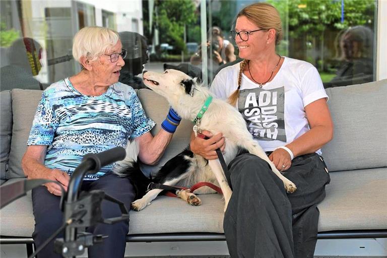 Die Bewohner und Bewohnerinnen im Murrhardter Schumm-Stift haben Roxy, die junge Hündin von Pflegedienstleiterin Margit Klunzinger, längst in ihr Herz geschlossen. Sie verwöhnen sie nicht nur mit Streicheleinheiten, sondern oft auch mit Leckerlis. Foto: Schumm Pflege gGmbH