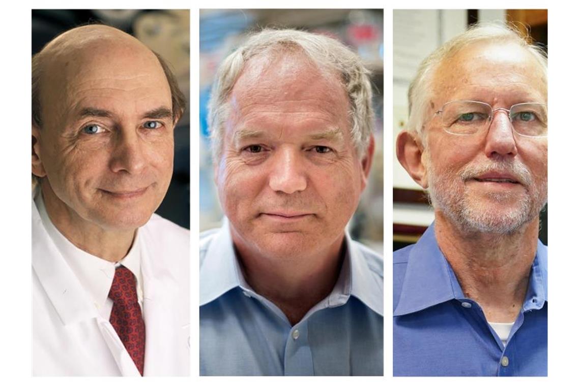 Medizin-Nobelpreis an Hepatitis-C-Forscher