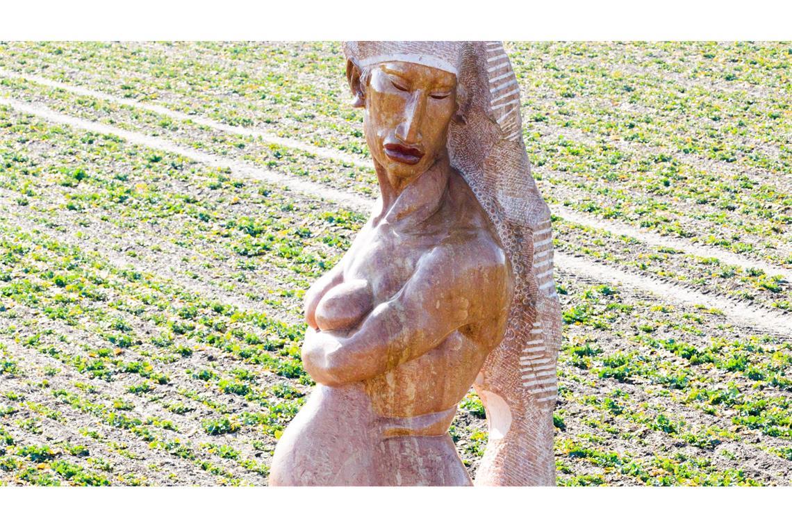 Die Böden im Landkreis Hildesheim gelten als besonders fruchtbar.