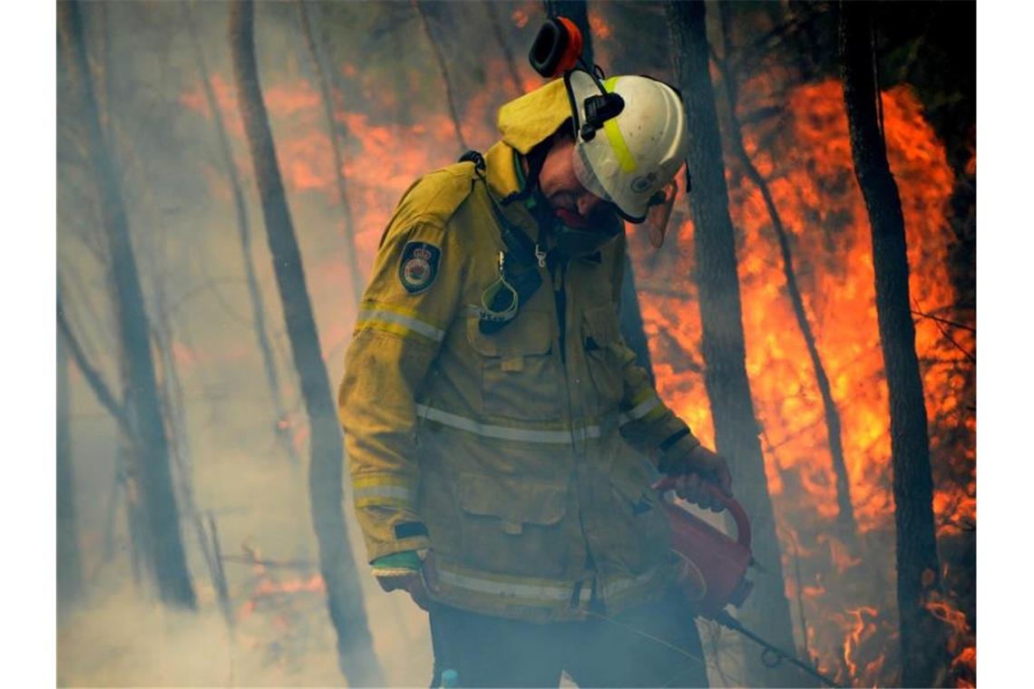 Verheerende Buschbrand-Saison im Südosten Australiens vorbei Die Brände hätten eine Fläche von rund 5,5 Millionen Hektar zerstört, etwa 6,2 Prozent des im Südosten von Australien gelegenen Bundesstaates New South Wales. Foto: Jeremy Piper/AAP/dpa