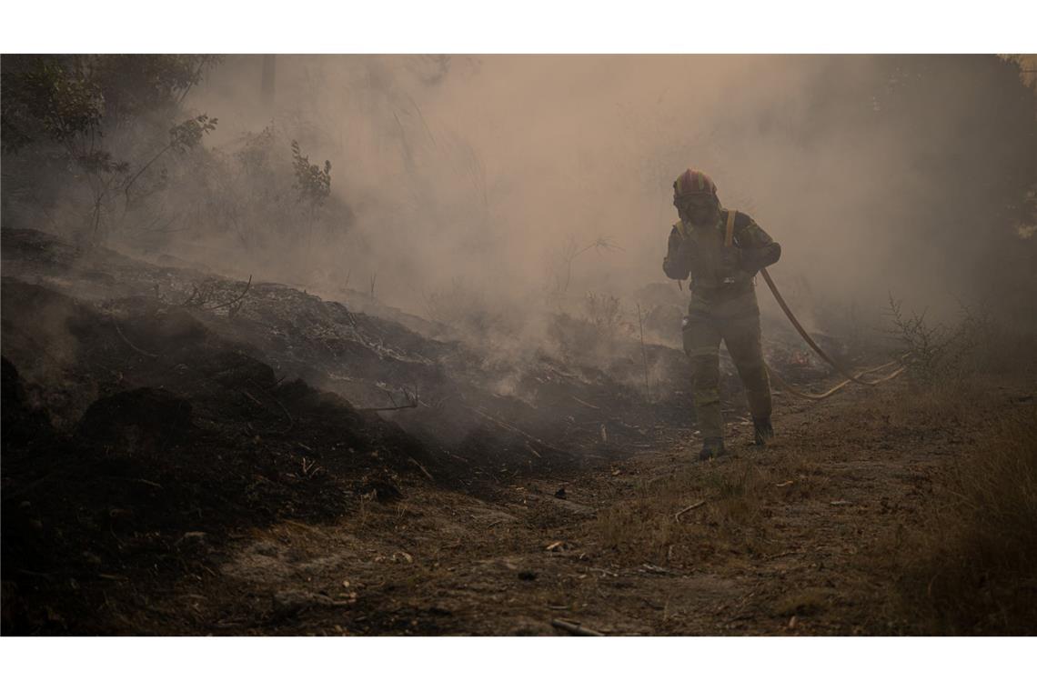 Brände in Südeuropa und Türkei lassen nach - aber neue Hitze Die Brandbekämpfer am Boden sind Tag und Nacht im Einsatz gegen die Flammen in Portugal. Tagsüber werden sie von Löschflugzeugen und -hubschraubern unterstützt.