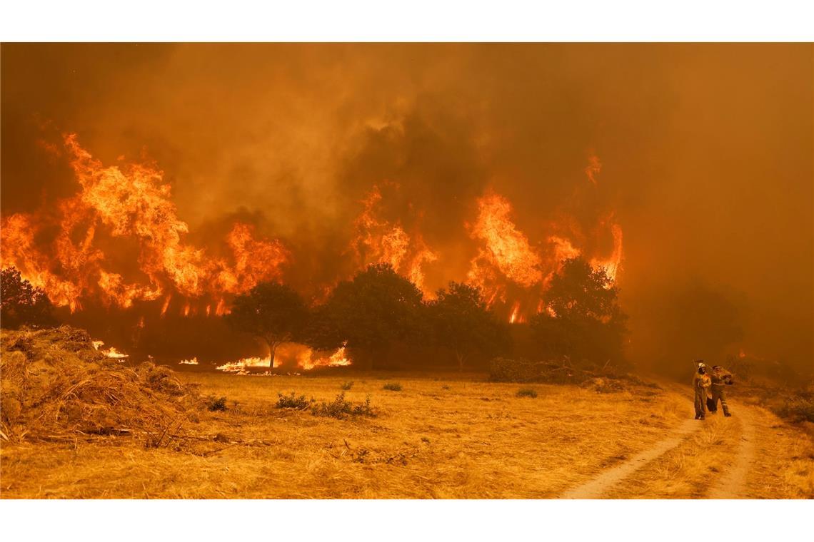 Die Brandbekämpfer sehen sich teilweise mit riesigen Feuerwänden konfrontiert, die durch stürmische Winde jederzeit blitzartig die Richtung ändern können.