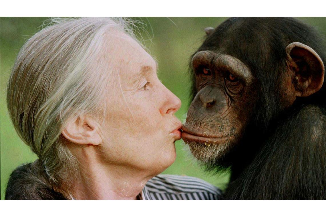 Die britische Primatenforscherin Jane Goodall ist im Alter von 91 Jahren gestorben. (Archivbild)