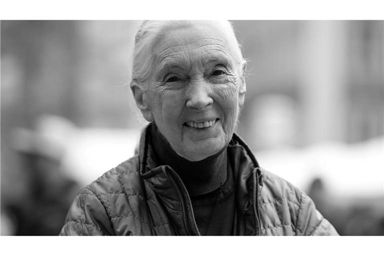 Die britische Schimpansen-Forscherin und Umwelt-Aktivistin Jane Goodall ist tot.