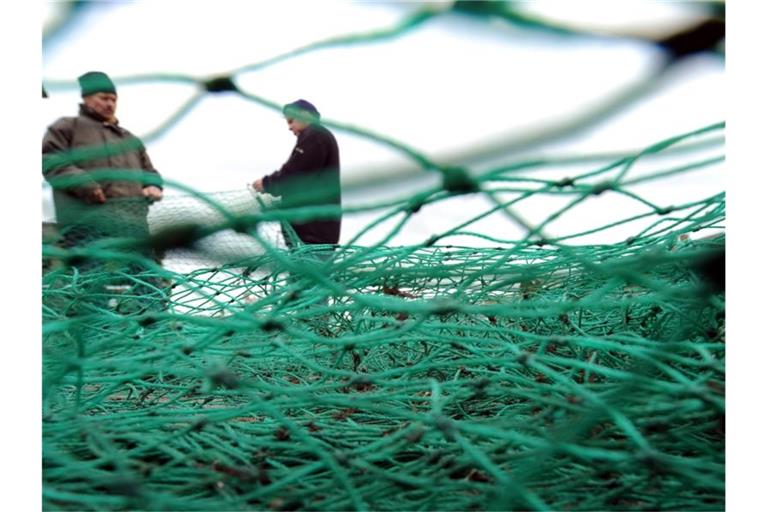 Die britischen Gewässer sind ein wichtiges Fanggebiet für europäische Fischer. Foto: Marcus Brandt
