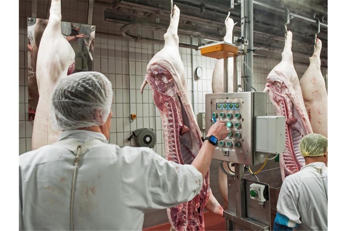 Die Bundespolizei überprüft in Betrieben der Fleischindustrie die illegale Einschleusung von Arbeitskräften. Foto: picture alliance / Ingo Wagner/dpa