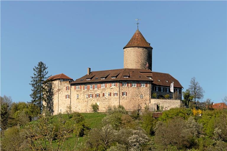 Die Burg Reichenberg wird im Umweltbericht aktuell als „Ruine“ geführt. Sie sei eine Landmarke, die es zu schützen gilt, hält die Gemeinde dagegen. Archivfoto: Alexander Becher