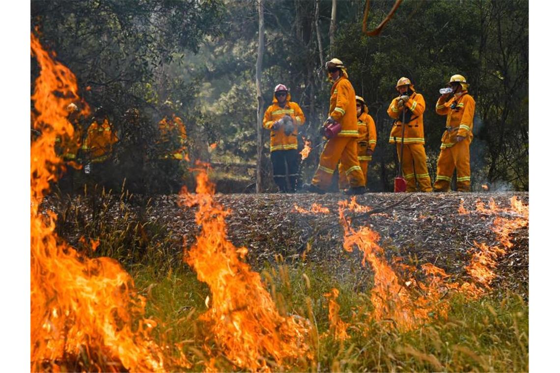 Die Buschfeuer in Australien haben nach Behördenangaben bereits mehrere Millionen Hektar Land verbrannt. Foto: Jason Edwards/News Corp Australia/State Control Center Media/dpa