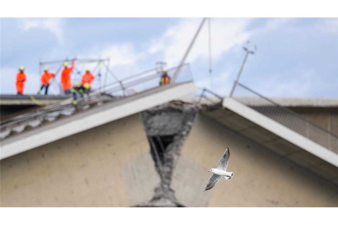 Brücken der Hoffnung Die Carolabrücke in Dresden stürzte 2024 zusammen.