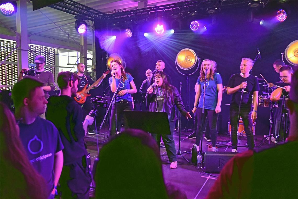 Bis in die Nacht wird beim Backnanger Festival Mu5ikmaile getanzt Die „Cool Chickpeas“ sorgen für gute Laune im Publikum. Foto: Tobias Sellmaier