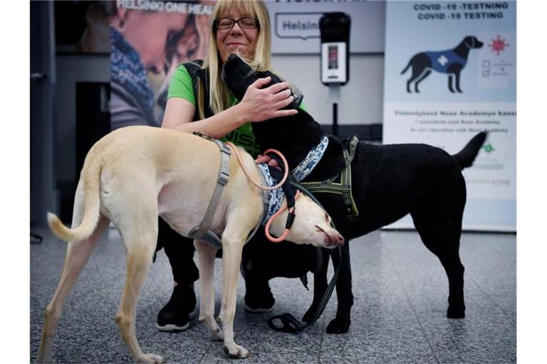 Die Covid-19-Spürhunde K'ssi (l) und Miina sollen in Helsinki Corona-Infektionen bei Menschen erschnüffeln, noch bevor diese Symptome zeigen. Foto: Antti Aimo-Koivisto/Lehtikuva/dpa