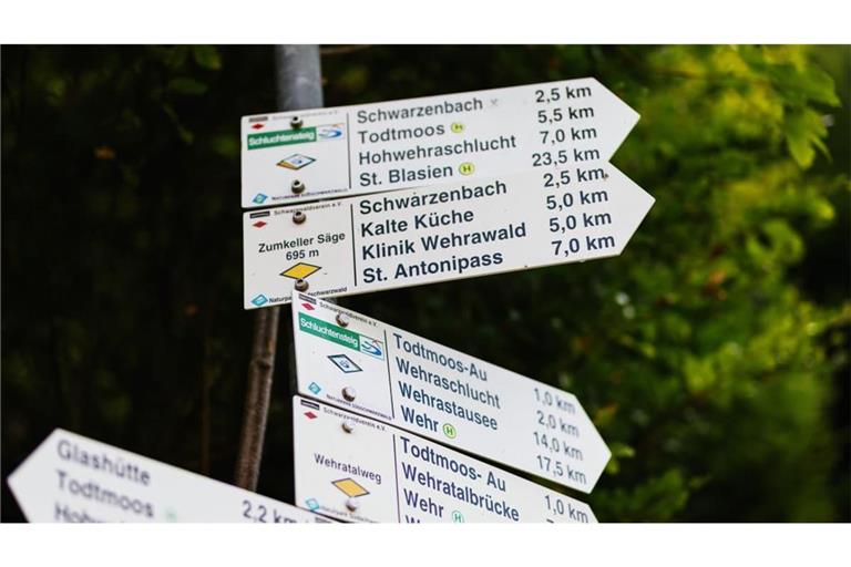 Die damals 26-jährige Scarlett Salice wird seit dem September 2020 vermisst, sie war von einer Wanderung entlang des Schluchtensteigs nahe Todtmoos nicht zurückgekehrt.