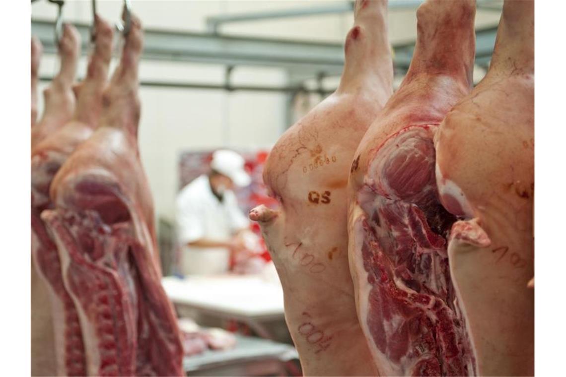 Die deutsche Fleischwirtschaft hält ein Verbot von Werkverträgen und Leiharbeit allein in ihrer Branche für verfassungswidrig. (Symbolbild). Foto: Hendrik Schmidt/dpa-Zentralbild/dpa