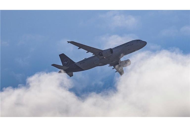 Die Deutsche Umwelthilfe sprach von einem „wichtigen Sieg gegen irreführende Werbung“ der Lufthansa.