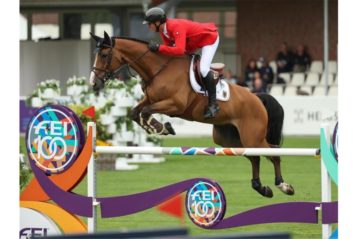 Springreiter mit starkem Start bei Heim-Europameisterschaft Die deutschen Springreiter um David Will erwischten einen gelungenen Start in Riesenbeck. Foto: Friso Gentsch/dpa