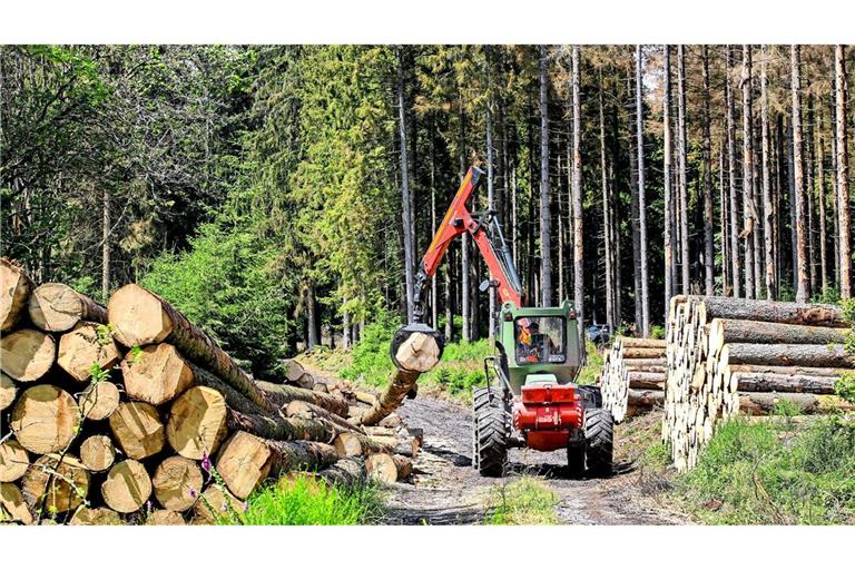 Die Dokumentationspflichten der EU im Rahmen des Green Deal treibt die Waldbauern auf die Palme.
