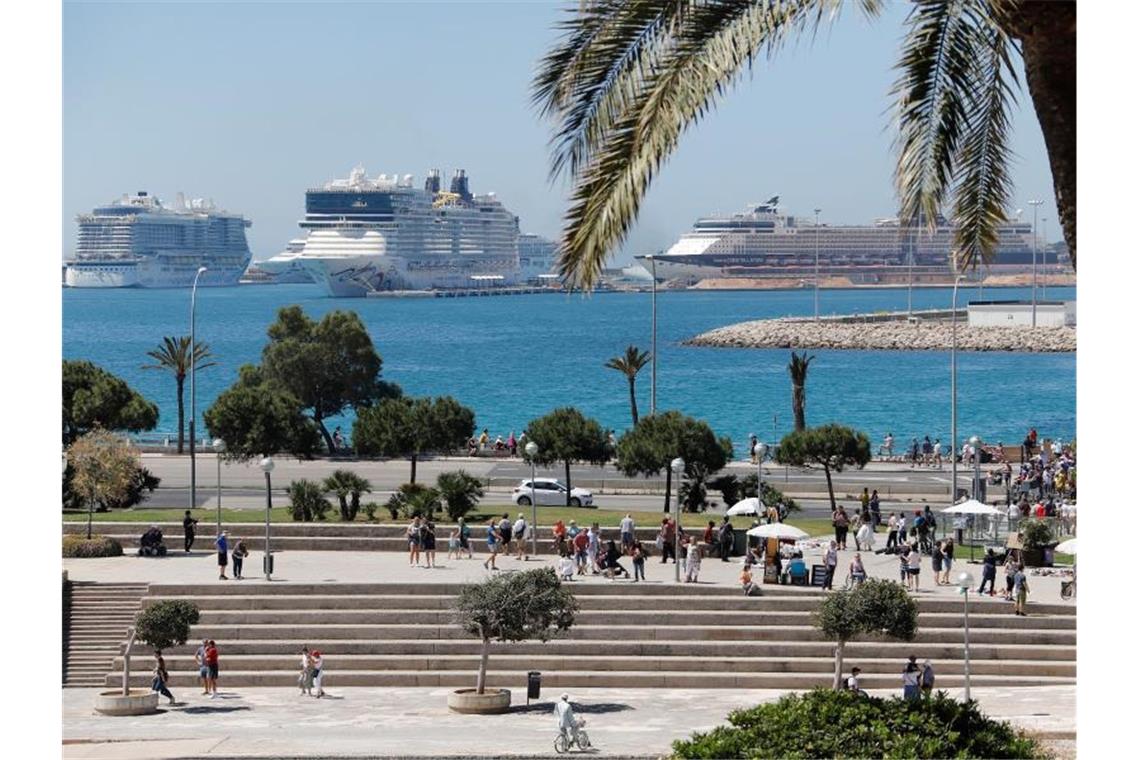 Die drei Kreuzfahrtschiffe „AidaNova“, „Norwegian Epic“ und „Celebrity Constellation“ liegen im Hafen von Palma de Mallorca. Foto: Clara Margais
