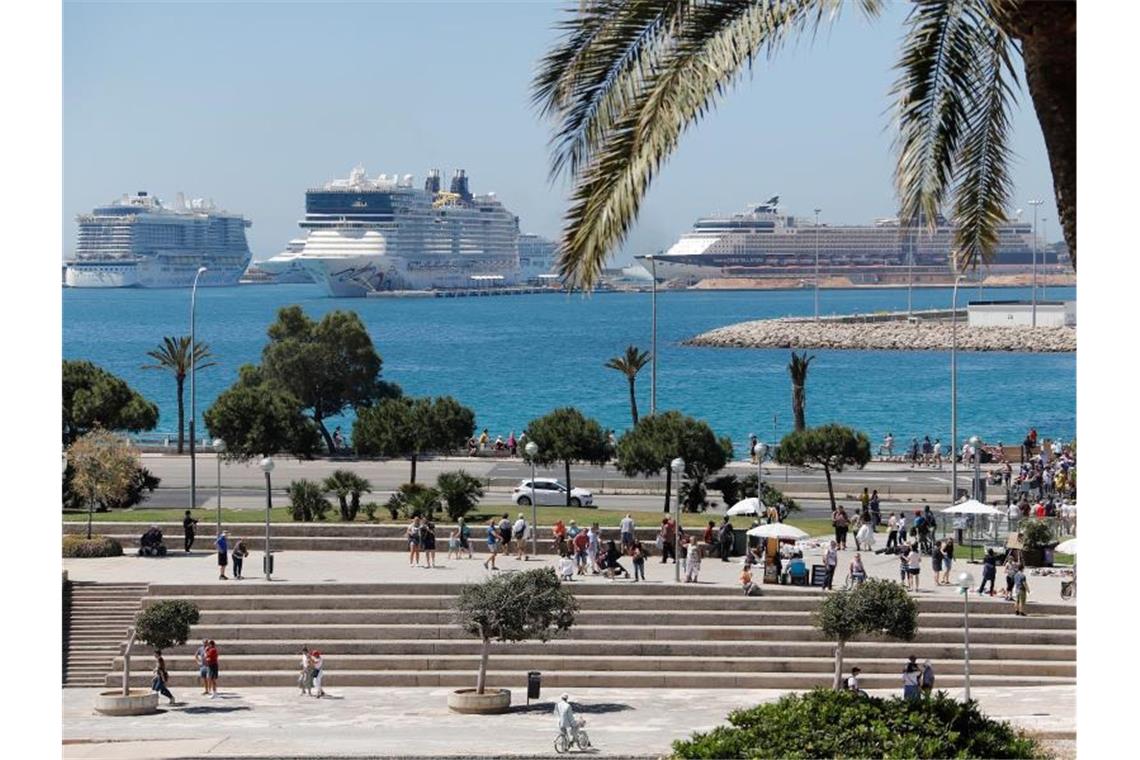 Alarm auf Mallorca: Touristenflaute bedroht die Urlaubsinsel Die drei Kreuzfahrtschiffe „AidaNova“, „Norwegian Epic“ und „Celebrity Constellation“ liegen im Hafen von Palma de Mallorca. Foto: Clara Margais