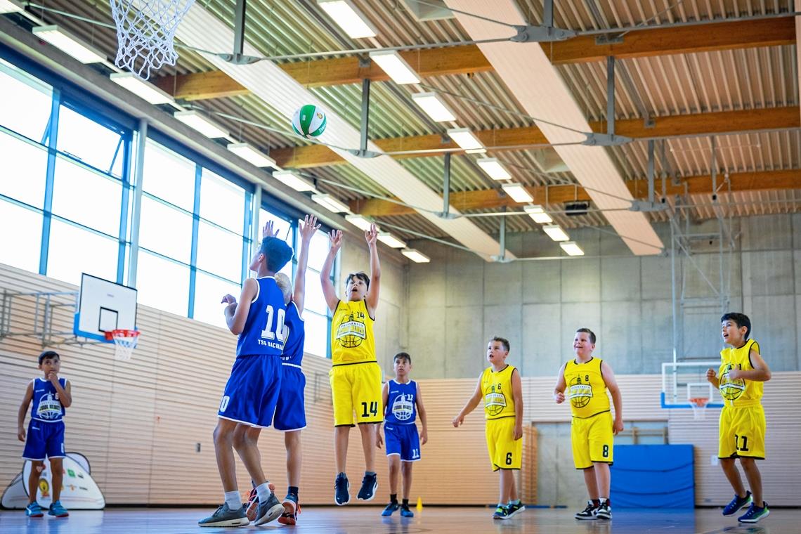 Die Dritt- und Viertklässler der Backnanger Plaisirschule und Schillerschule haben ihren Spaß am Basketballspiel. Foto: Alexander Becher