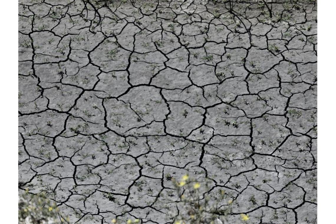 US-Behörde: Wärmster Juli seit Messungsbeginn Die Durchschnittstemperatur habe um 0,93 Grad Celsius über dem Durchschnittswert des 20. Jahrhunderts gelegen, teilte die NOAA mit. Foto: XinHua/dpa