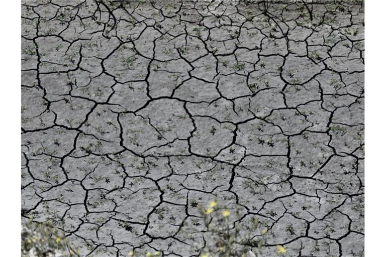 Die Durchschnittstemperatur habe um 0,93 Grad Celsius über dem Durchschnittswert des 20. Jahrhunderts gelegen, teilte die NOAA mit. Foto: XinHua/dpa