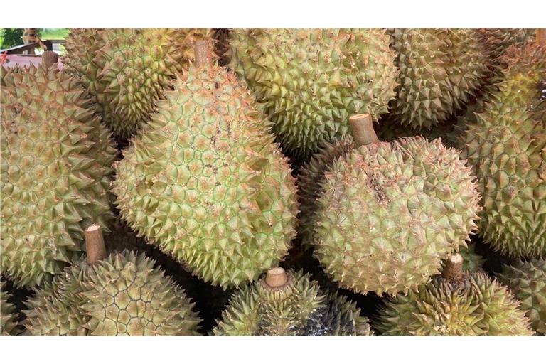Die Durian-Frucht sorgte für Einsätze der Feuerwehr in Wiesbaden.