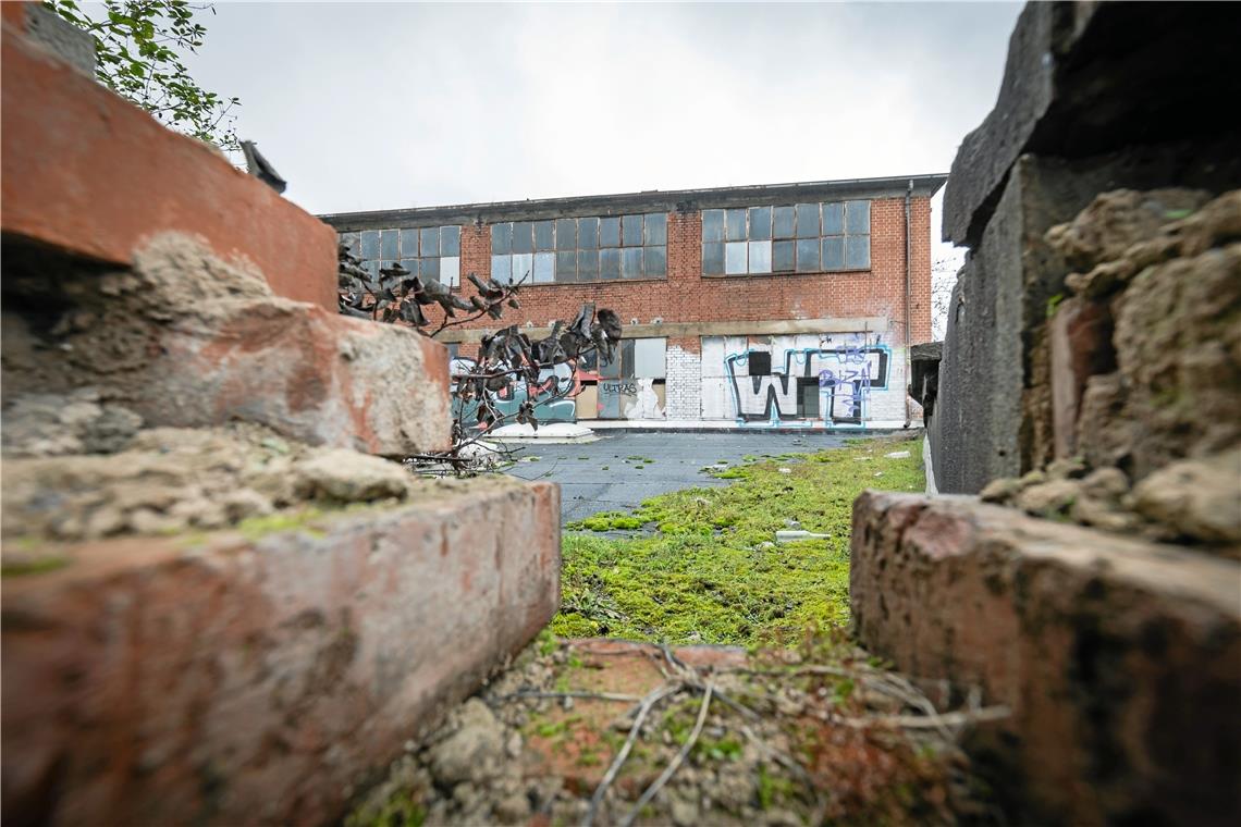 IBA-Festival in Backnang soll die Neugier wecken Die ehemalige Lederfabrik Hodum soll bis 2027 saniert werden. Foto: Alexander Becher