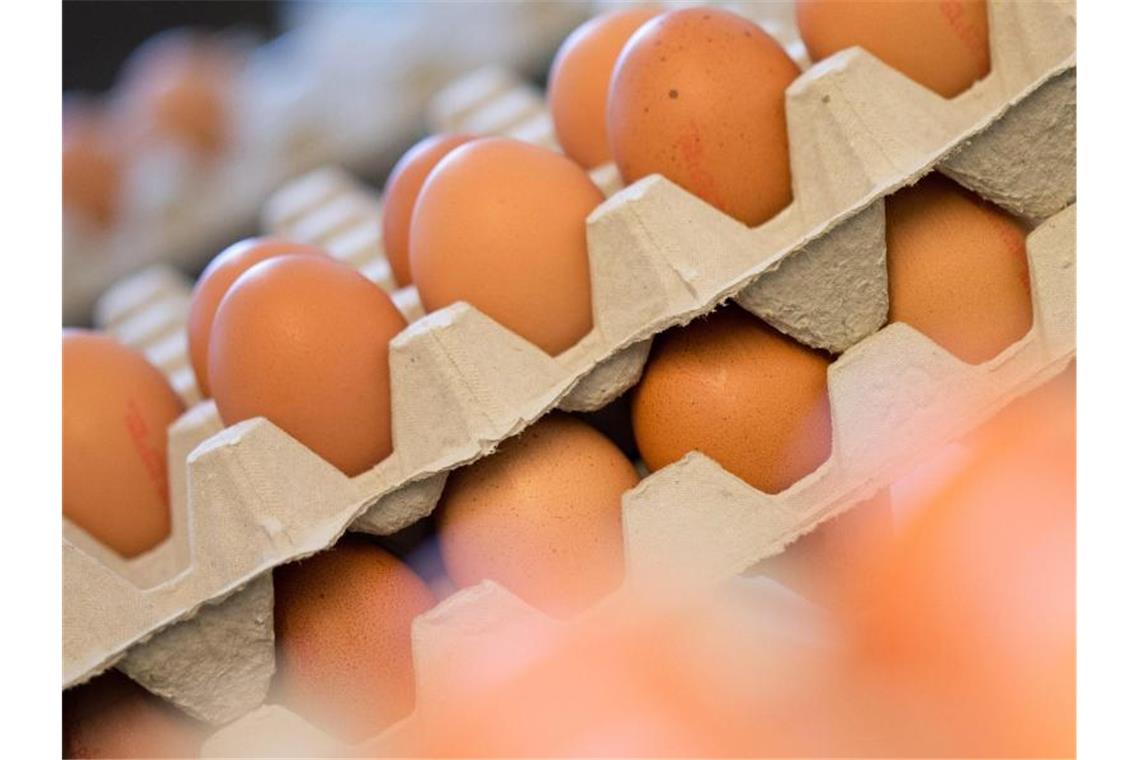 Aldi hebt Eierpreise an - weitere Händler dürften folgen Die Eierpreise sind wenige Tage nach dem Jahresbeginn 2020 in Bewegung geraten. Foto: Friso Gentsch/dpa