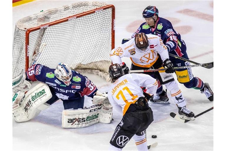 Die Eisbären Berlin um Torwart Mathias Niederberger (l) treffen auf die Grizzlys Wolfsburg. Foto: Andreas Gora/dpa