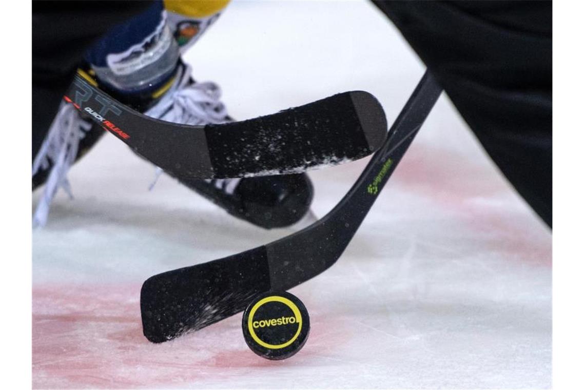Handball- und Eishockey-Clubs wollen Perspektive Die Eishockey-Clubs in der DEL hatten ihre Saison abgebrochen. Foto: Bernd Thissen/dpa