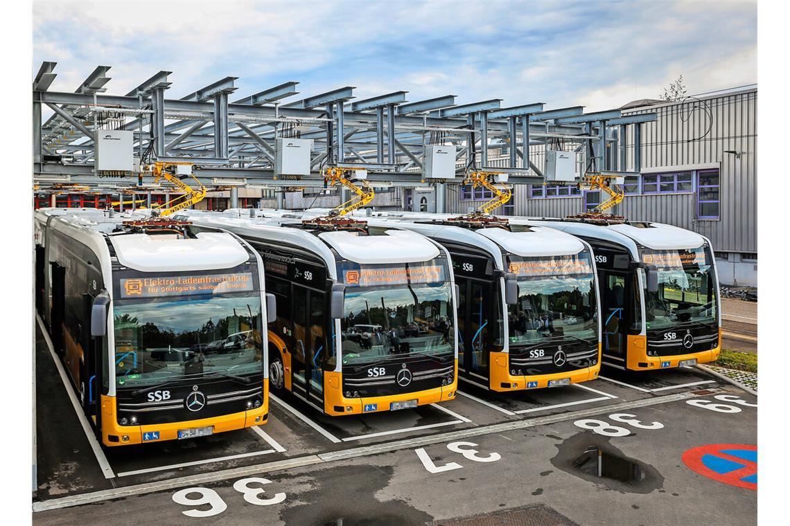 Die Elektrobusse werden über Stromabnehmer geladen, die ähnlich aussehen wie die der Stadtbahnen.