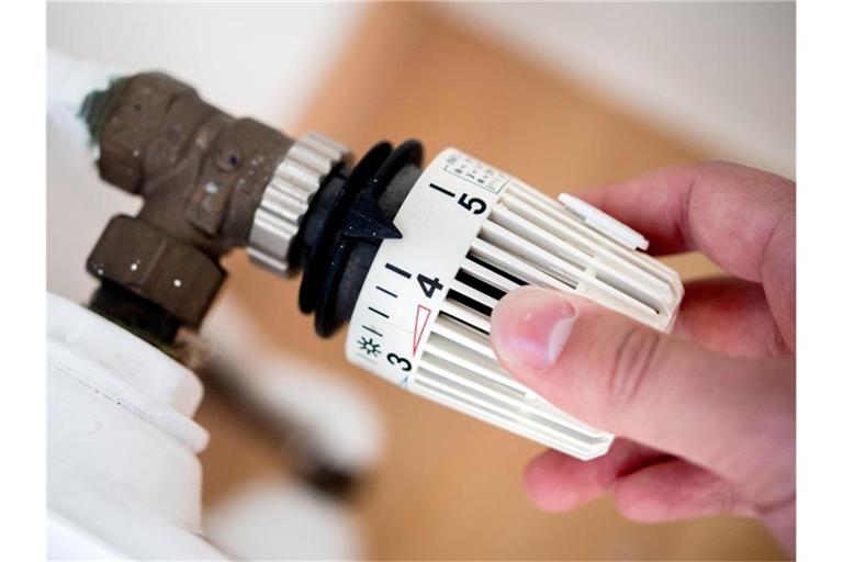 Die Energiepreise zogen im vergangenen Jahr im Zuge der weltweiten Konjunkturerholung deutlich an. Foto: Hauke-Christian Dittrich/dpa