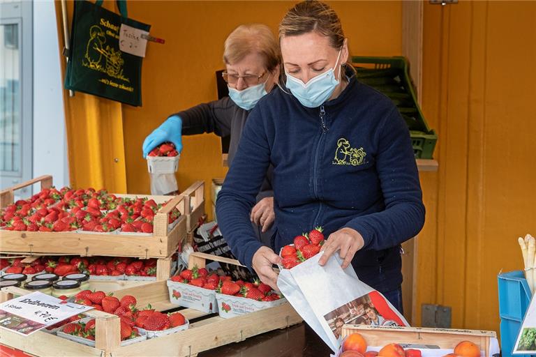 Die Erdbeersaison hat begonnen, wenngleich noch nicht mit richtiger Freilandware. Am Stand von Johannes Schaaf in der Sulzbacher Straße in Backnang verkaufen die Mitarbeiterinnen Marie-Luise Wanner (links) und Elvira Kindermann die süßen Früchte, die unter Folien gewachsen sind. Foto: J. Fiedler