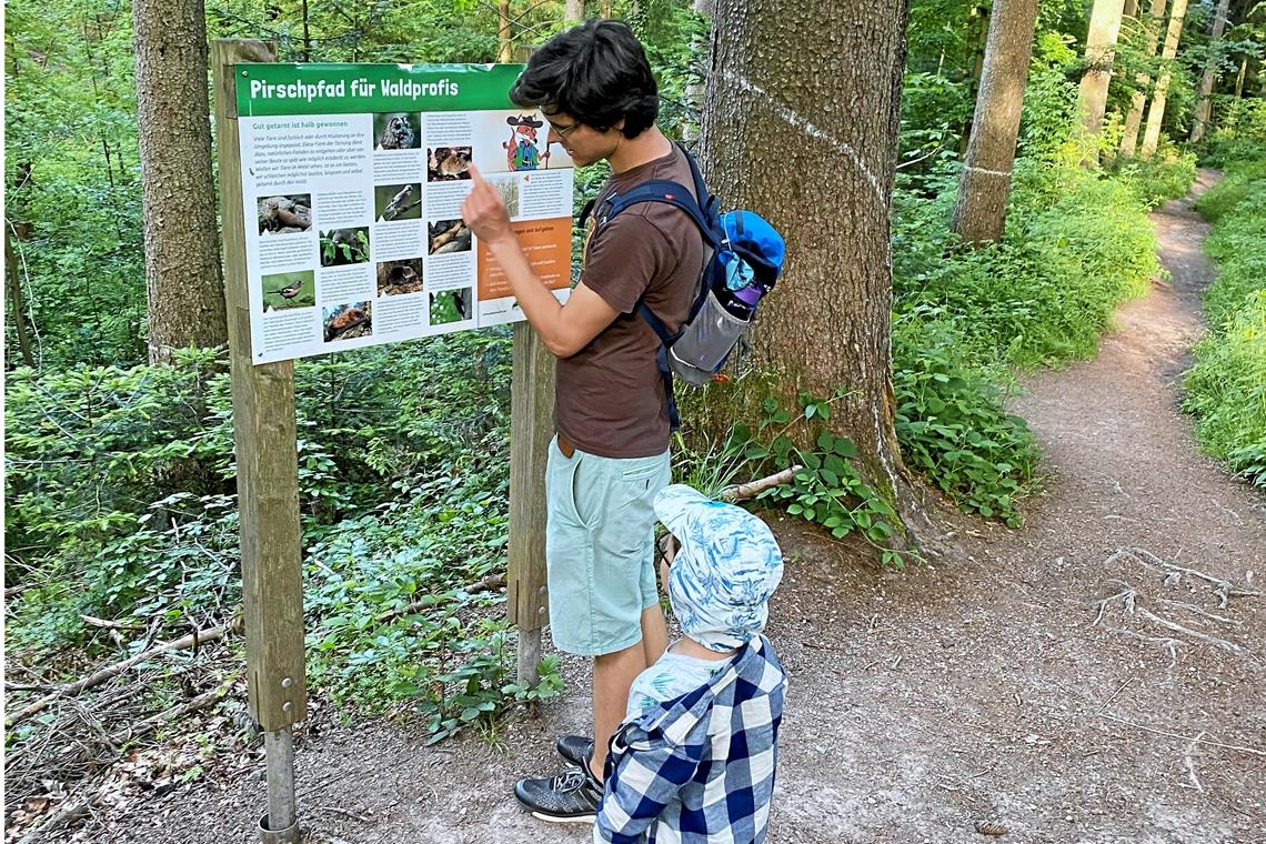 Die Erklärtafeln bieten an den Stationen zahlreiche Hinweise für Groß und Klein.