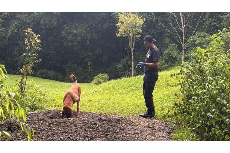 Die Ermittler entdeckten die Leichen mit Hilfe eines Spürhunds.
