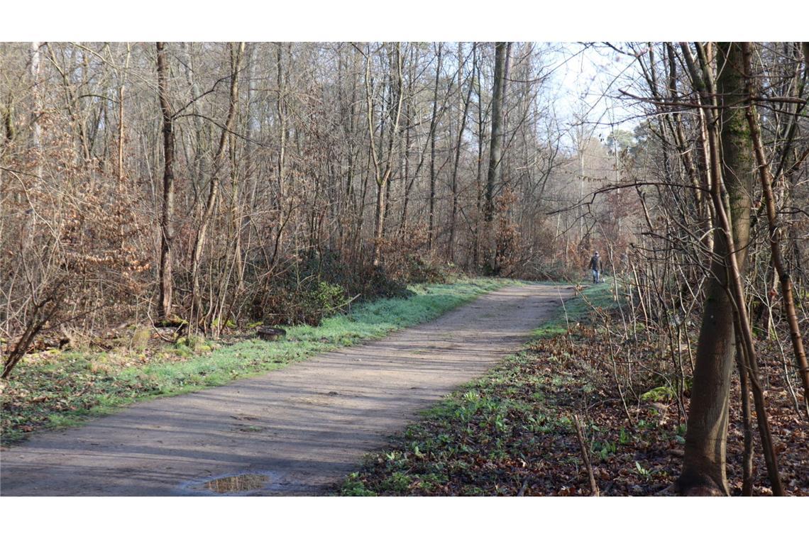 Mordermittlung - Jugendlicher soll 19-Jährige getötet haben