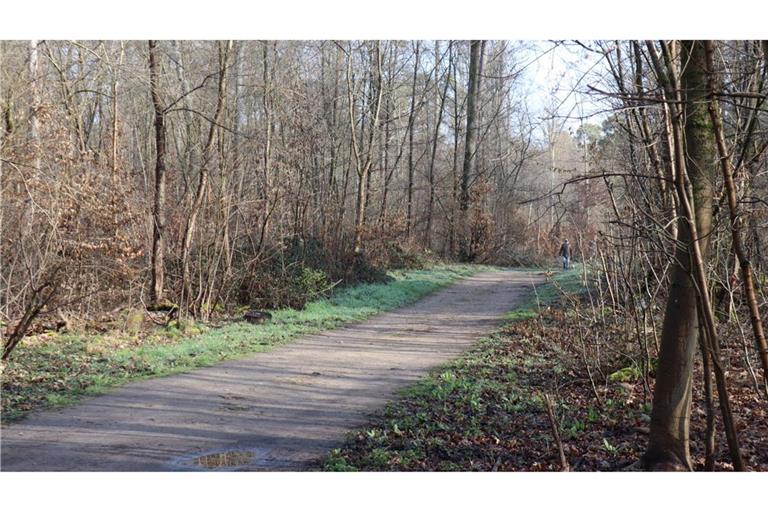 Die Ermittler haben erste Details nach dem Fund einer toten Frau in einem Wald bei Mannheim bekanntgegeben.