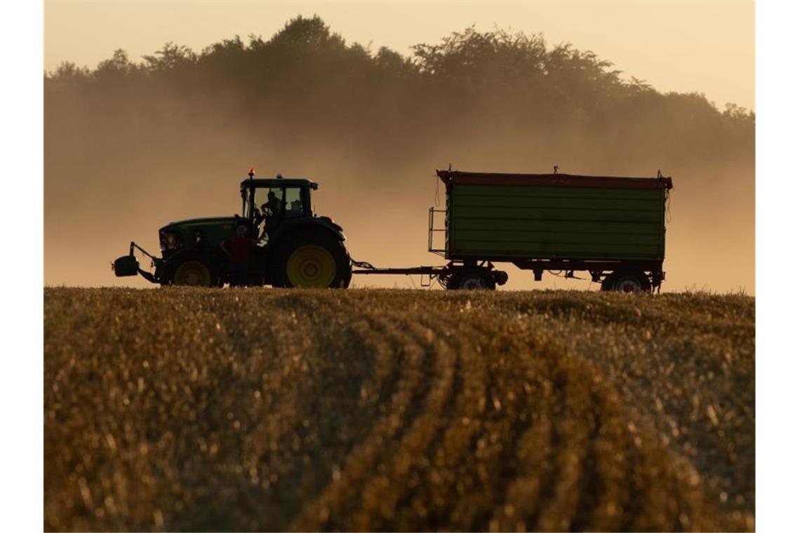 Durchschnittliche Ernteaussichten für den Sommer